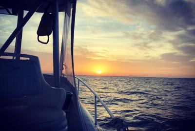 Reel Runner Gulf Adventures-Beach Excursions Reel Runner Gulf Adventures-Beach Excursions
