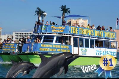 Clearwater Dolphin-Watching Tour Clearwater Dolphin-Watching Tour