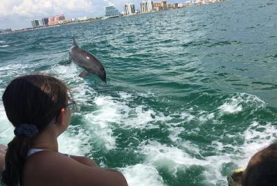 Little Toot Dolphin Adventure at Clearwater Beach  Little Toot Dolphin Adventure at Clearwater Beach
