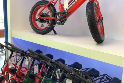 Electric Bikes Rental in Dunedin Electric Bikes Rental in Dunedin