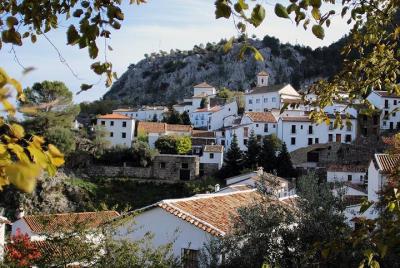 Private Day Trip from Málaga: The White Towns of Andalusia Private Day Trip from Málaga: The White Towns of Andalusia
