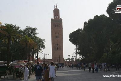 Guided Historical City Tour Of Marrakech 