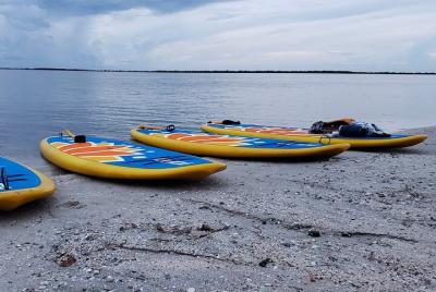 Stand-up Paddle Bioluminescence Tour