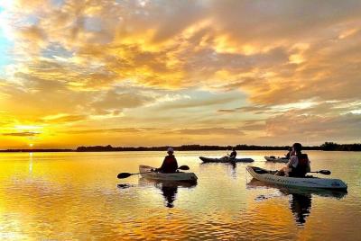 Mangrove Tunnels, Manatee, and Dolphin Sunset kayak tour with Fin Mangrove Tunnels, Manatee, and Dolphin Sunset kayak tour with Fin