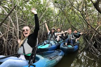 Thousand Island Mangrove Tunnel, Manatee & Dolphin Kayak Tour! 