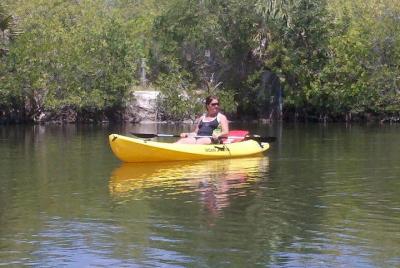 One Single Kayak Rental for 2 hours with Manatees and Dolphins! One Single Kayak Rental for 2 hours with Manatees and Dolphins!