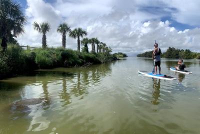 Wildlife Refuge Sunset Dolphin, Manatee & Mangrove Kayak or Paddl Wildlife Refuge Sunset Dolphin, Manatee & Mangrove Kayak or Paddl