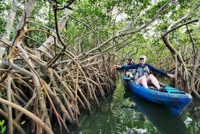 Thousand Islands Mangrove Tunnel Kayak Tour! Thousand Islands Mangrove Tunnel Kayak Tour!