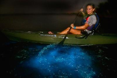 Dinoflagellate Bioluminescence Kayak Tour Dinoflagellate Bioluminescence Kayak Tour