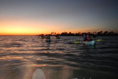 Sunset Kayaking w/ Florida Bioluminescence Combo Tour | Haulover  Sunset Kayaking w/ Florida Bioluminescence Combo Tour | Haulover