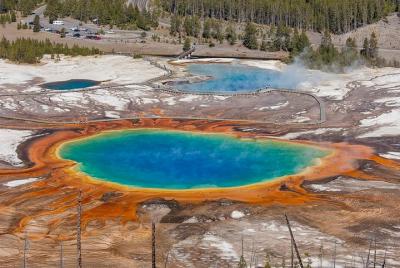 Yellowstone Lower Loop Guided Tour from Cody, Wyoming Yellowstone Lower Loop Guided Tour from Cody, Wyoming