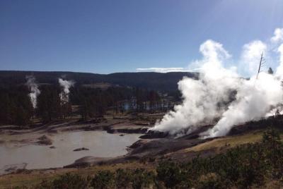 Private Yellowstone National Park Lower Loop Tour Private Yellowstone National Park Lower Loop Tour