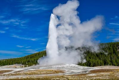 Yellowstone Lower Loop Private Tour for 10 Yellowstone Lower Loop Private Tour for 10