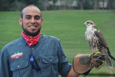 Falconry Beginners Lesson Falconry Beginners Lesson