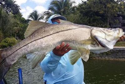 Homosassa Inshore Fishing Charters