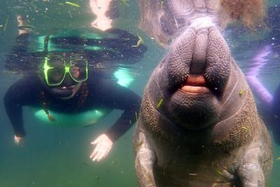 Private Manatee Tour