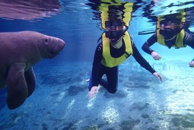Fresh n Salty Boat Tour of Florida's Nature Coast