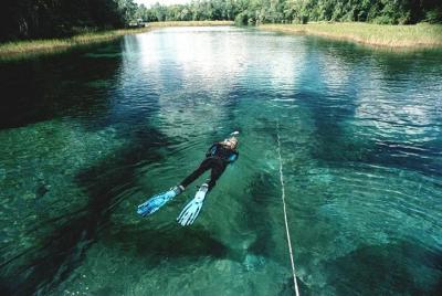Snorkel Or Dive The Amazing Rainbow River Florida Snorkel Or Dive The Amazing Rainbow River Florida