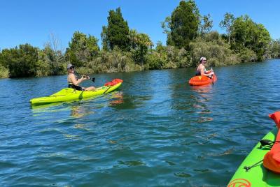 Full Day Single Kayak Rental In Crystal River Full Day Single Kayak Rental In Crystal River