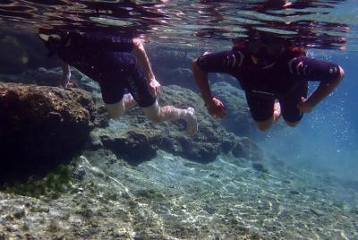 Guided Eco-Tour - Kayak or Paddleboard - Swim with Manatees Guided Eco-Tour - Kayak or Paddleboard - Swim with Manatees