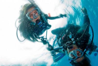 Try SCUBA Diving in Crystal River with Pool or Springs option