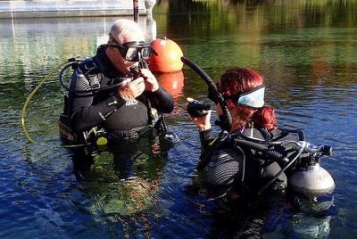 SCUBA Diving Lesson in Crystal River (Rainbow River Dive)