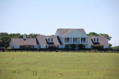 Dallas and Southfork Ranch Combo Tour 