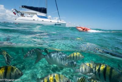 Half Day All Inclusive Private Sailing Cruise - in Cancun Half Day All Inclusive Private Sailing Cruise - in Cancun