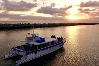 Luxury Catamaran Sunset and Wine Cruise from Dana Point Luxury Catamaran Sunset and Wine Cruise from Dana Point