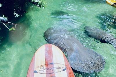 Stand Up Paddle Boarding or Kayaking Tour at Blue Springs Stand Up Paddle Boarding or Kayaking Tour at Blue Springs