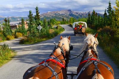 Horse-Drawn Covered Wagon Ride with Backcountry Dining Horse-Drawn Covered Wagon Ride with Backcountry Dining