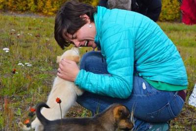 Mush Your Own Sled Dog Team (Summer/Fall Tour) Mush Your Own Sled Dog Team (Summer/Fall Tour)