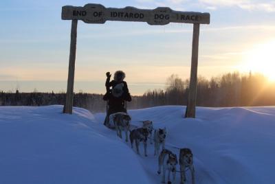 Mush Your Own Sled Dog Team (Winter Tour) Mush Your Own Sled Dog Team (Winter Tour)