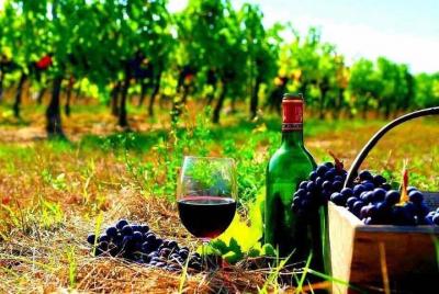 Group Tour Signagi-Bodbe, Kakheti Region