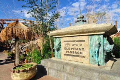 Denver Scavenger Hunt: Hunt Through the Denver Zoo!