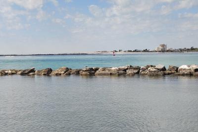 2 Hour Dolphin Sightseeing and Boat Tour in Panama City Beach 2 Hour Dolphin Sightseeing and Boat Tour in Panama City Beach