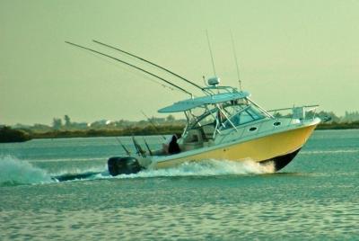 4-Hour Inshore Fishing (Flowing Water Charters)