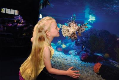SEA LIFE Michigan Aquarium Admission Ticket SEA LIFE Michigan Aquarium Admission Ticket