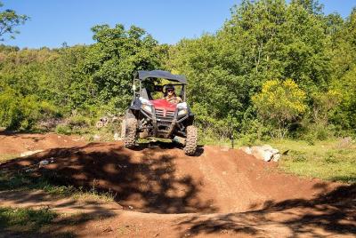  Off Road Guided Buggy Tour in Srd Hill