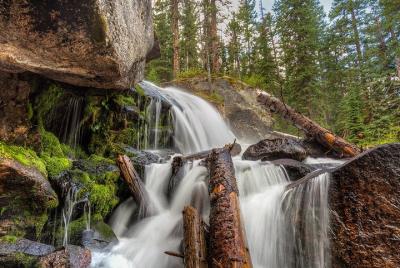 Explore & Photograph Wild Basin in Rocky Mountain National Park with a Pro Explore & Photograph Wild Basin in Rocky Mountain National Park with a Pro