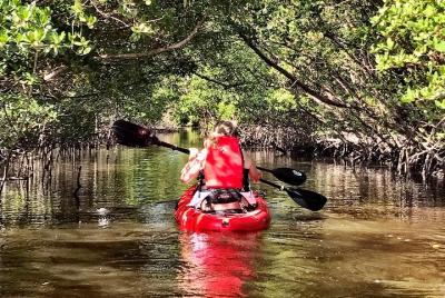 Mangrove Tunnel Kayak Eco Tour
