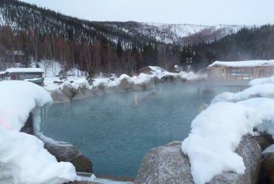 Northern Lights and Chena Hot Springs Night Tour from Fairbanks Northern Lights and Chena Hot Springs Night Tour from Fairbanks