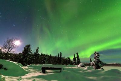 Arctic Circle and Northern Lights Tour from Fairbanks Arctic Circle and Northern Lights Tour from Fairbanks
