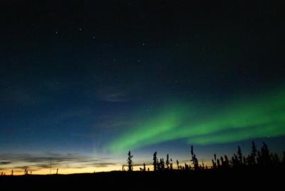 Northern Lights Experience and Cabin Dinner Northern Lights Experience and Cabin Dinner