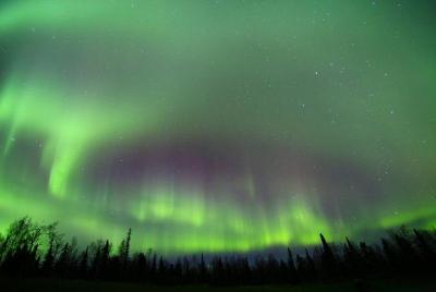 Northern Lights Murphy Dome Viewing in Fairbanks Northern Lights Murphy Dome Viewing in Fairbanks