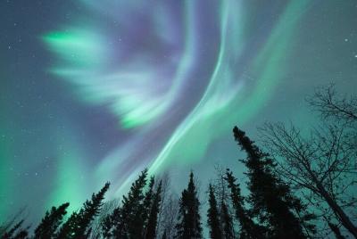 Northern Lights Viewing at Murphy Dome Northern Lights Viewing at Murphy Dome