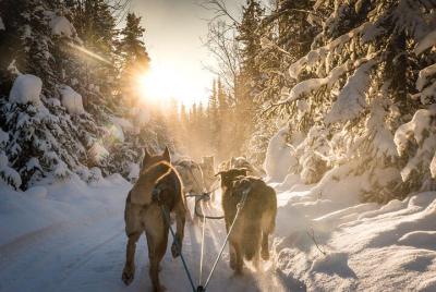 Private Chena River Mush Dream Vacation Must Private Chena River Mush Dream Vacation Must