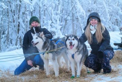 Husky Dog Sledding & Mushing with Pick up and Photo Service in Fairbanks, Alaska Husky Dog Sledding & Mushing with Pick up and Photo Service in Fairbanks, Alaska