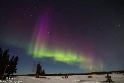 Ice Fishing and Northern Lights Tour from Fairbanks Ice Fishing and Northern Lights Tour from Fairbanks