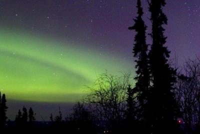 Chena Hot Springs Round Trip Tour Chena Hot Springs Round Trip Tour